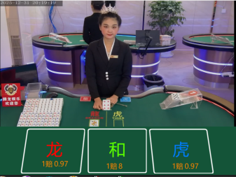 龙之怒老虎机
